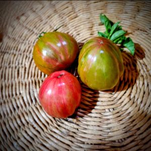 Tomate Green and Pink