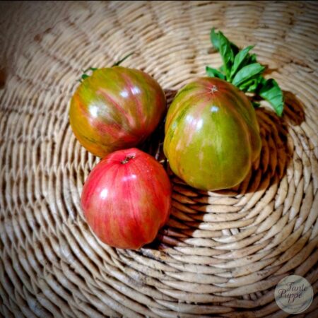 Tomate Green and Pink