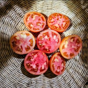 Tomate Watermelon Beefsteak