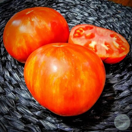 Tomate Red Solar Flare