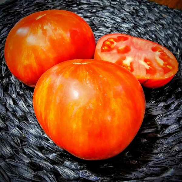 Tomate Red Solar Flare