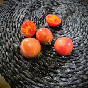 Tomate Artisan Pink Bumblebee