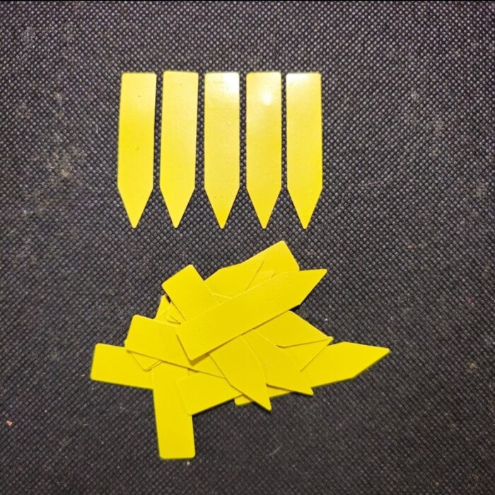 Screenshot_20240321_121002_Photos