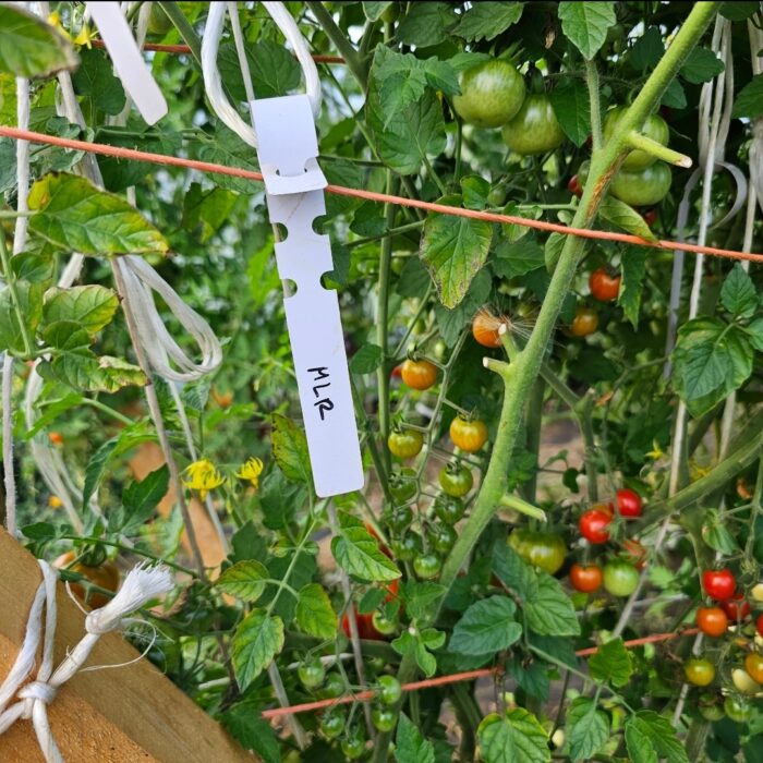 Screenshot_20240321_121109_Photos Screenshot_20240321_121109_Photos