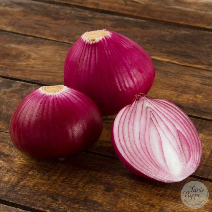 cebolla morada Semillas de Cebolla Morada