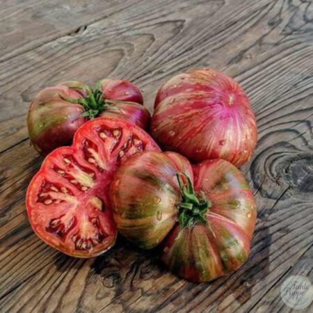 Tomate Berkeley Tie Dye Pink