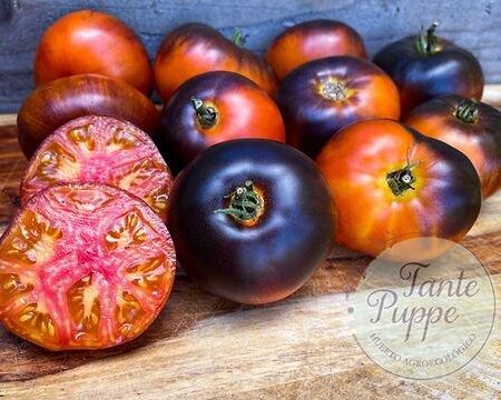 Tomate Lucid Gem