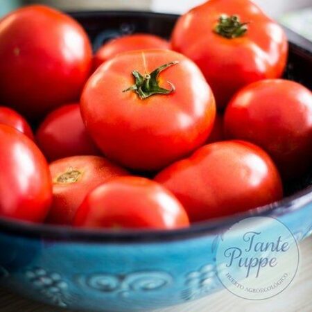 Tomate Beef