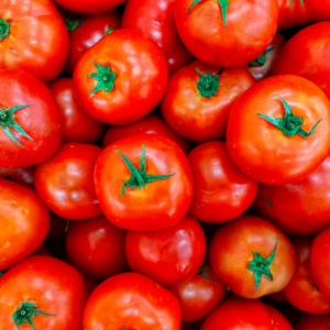 Tomate Renguino