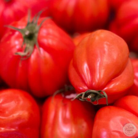 Tomate Corazón de buey antiguo