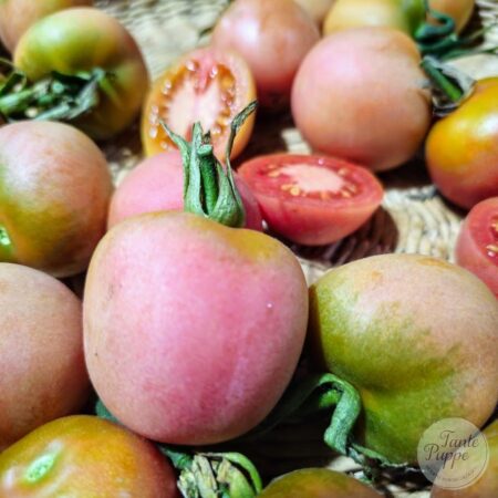 Tomate Malacara (tomate de guarda)