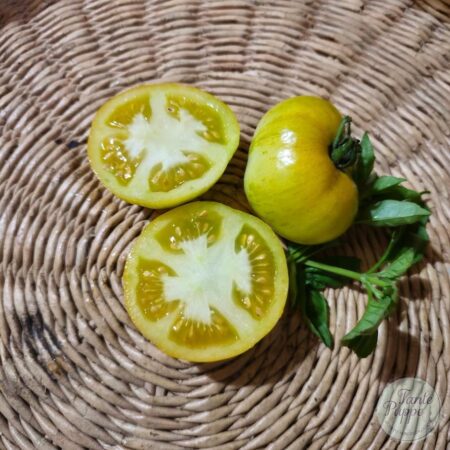 Tomate Sweet Lemon