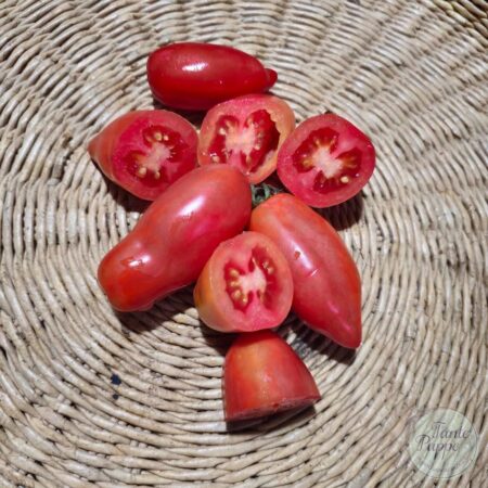 Tomate Ten Fingers of Naples