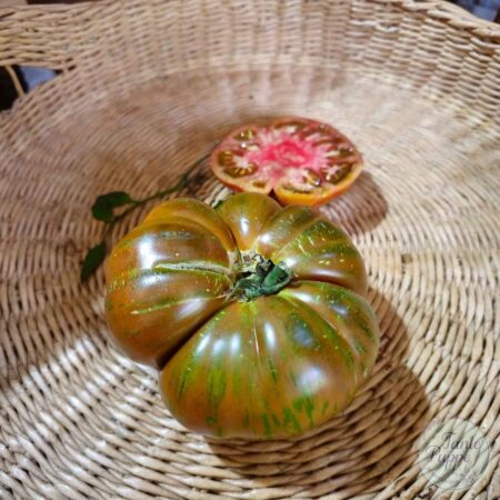 Tomate Vintage Wine