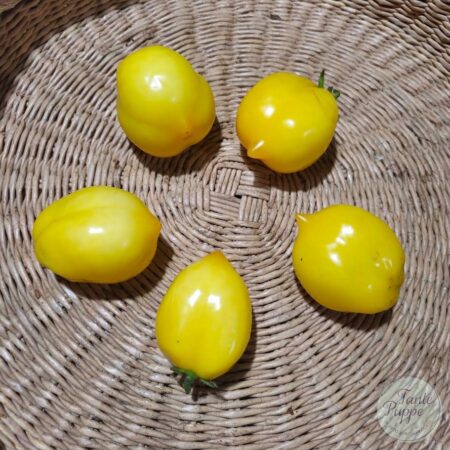 Tomate Yellow Plum