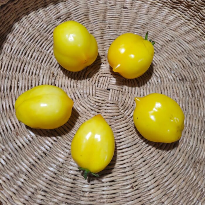 Yellow plum