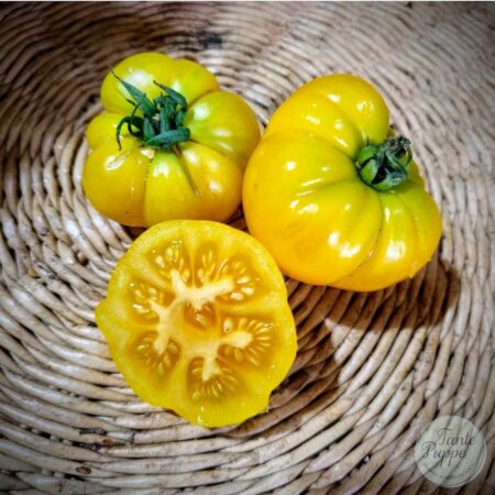 Tomate Oma