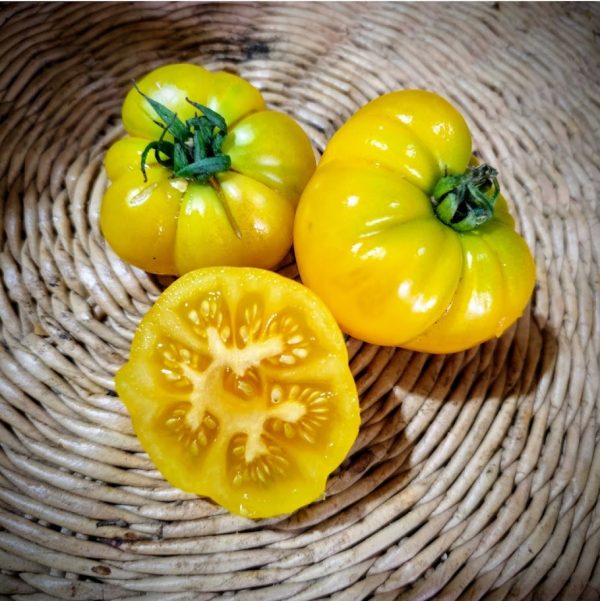 Tomate Oma