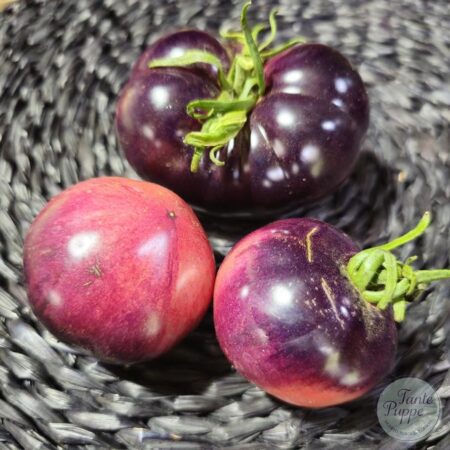 Tomate Ozark Sunset