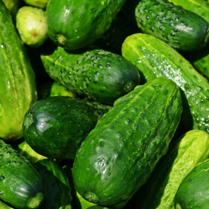 pepino national pickle pepino national pickle