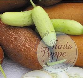 pepino poona khera3