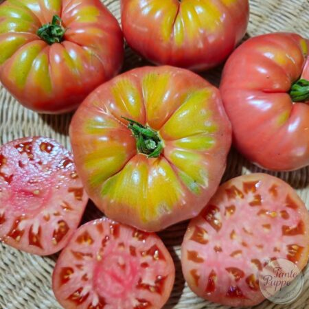 Tomate Pink German