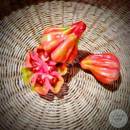 Tomate Tlacolula Pink