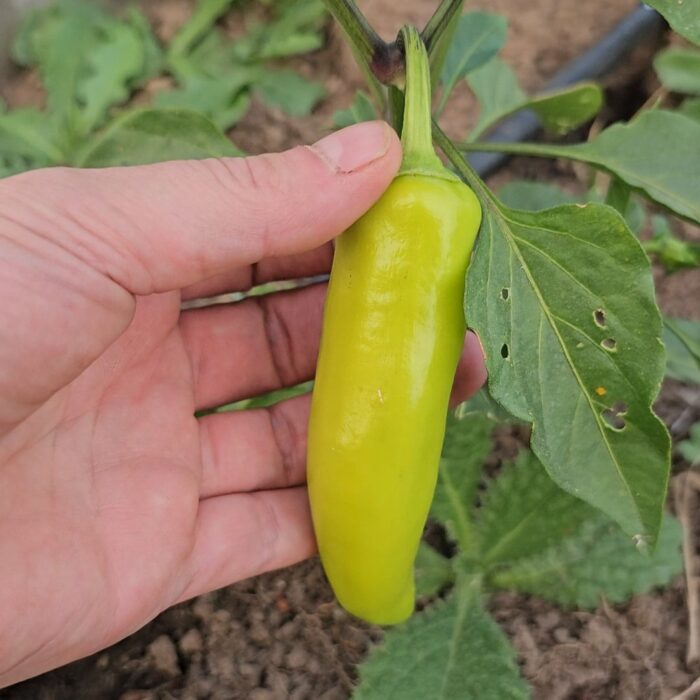 1000053421.jpg 1000053421.jpg