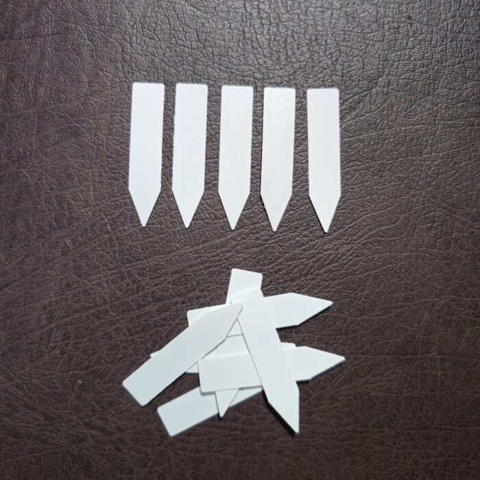 1000060137-scaled.jpg 1000060137-scaled.jpg