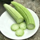 Semillas de Pepino Armenian White