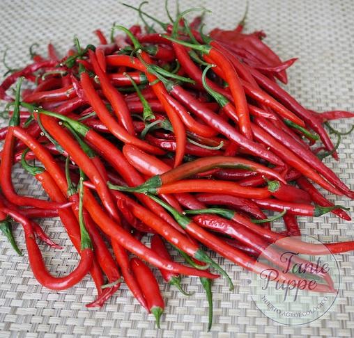 aji fosforito aji fosforito