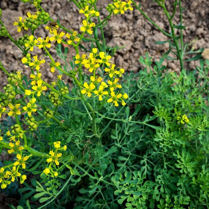 1000073213.jpg 1000073213.jpg