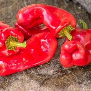 Pimiento Trontarolo