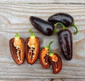 Ají Jalapeño azabache