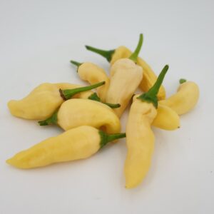 Ají Jalapeño White