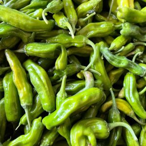 Pimiento shishito