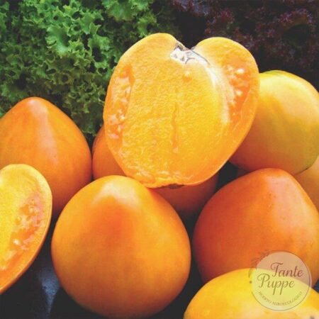 Tomate heart of Ashgabat