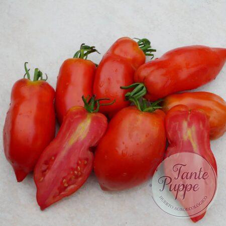 Tomate Abbatistta Paste