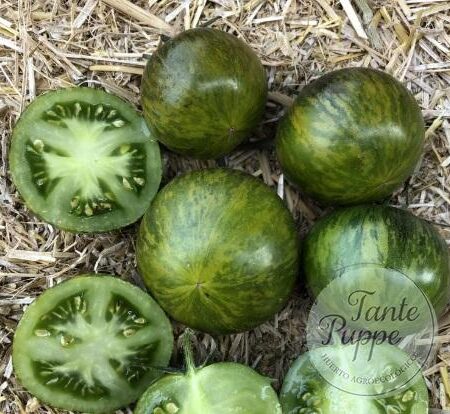 Tomate AB Tiger Pilar