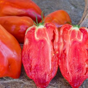 Tomate Abbatistta Paste