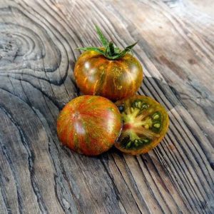 Tomate Aftershock Dwarf