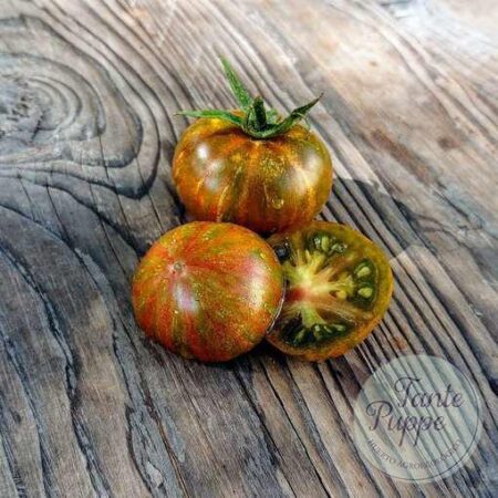 Tomate Aftershock Dwarf