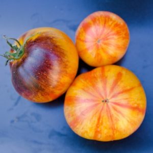 Tomate Alice´s dreams