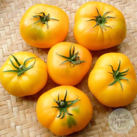 Tomate Azoychka