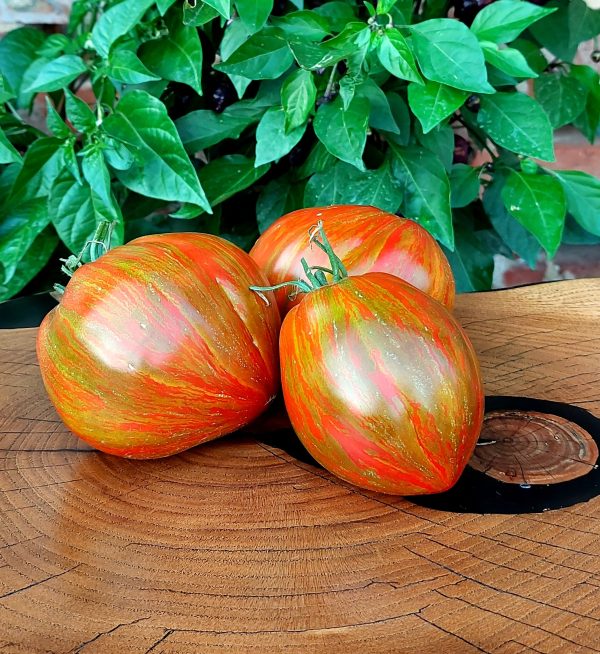 Tomate Berkeley Tie Die heart