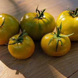 Tomate Big green dwarf
