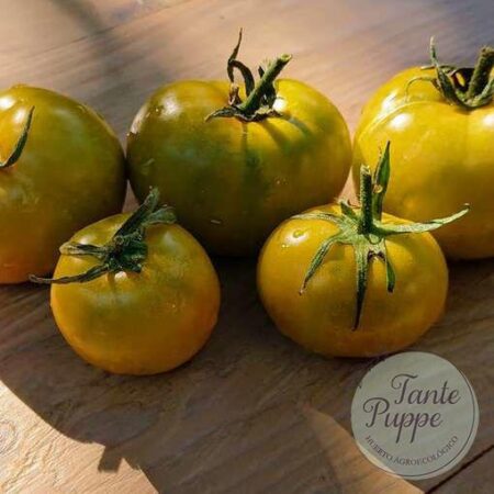 Tomate Big green dwarf