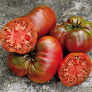 Tomate Black Seaman