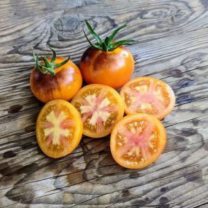 Tomate Blue gold