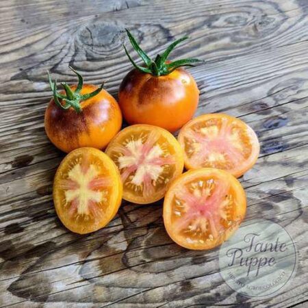 Tomate Blue gold